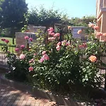 Apartmán Bruni Rovinj